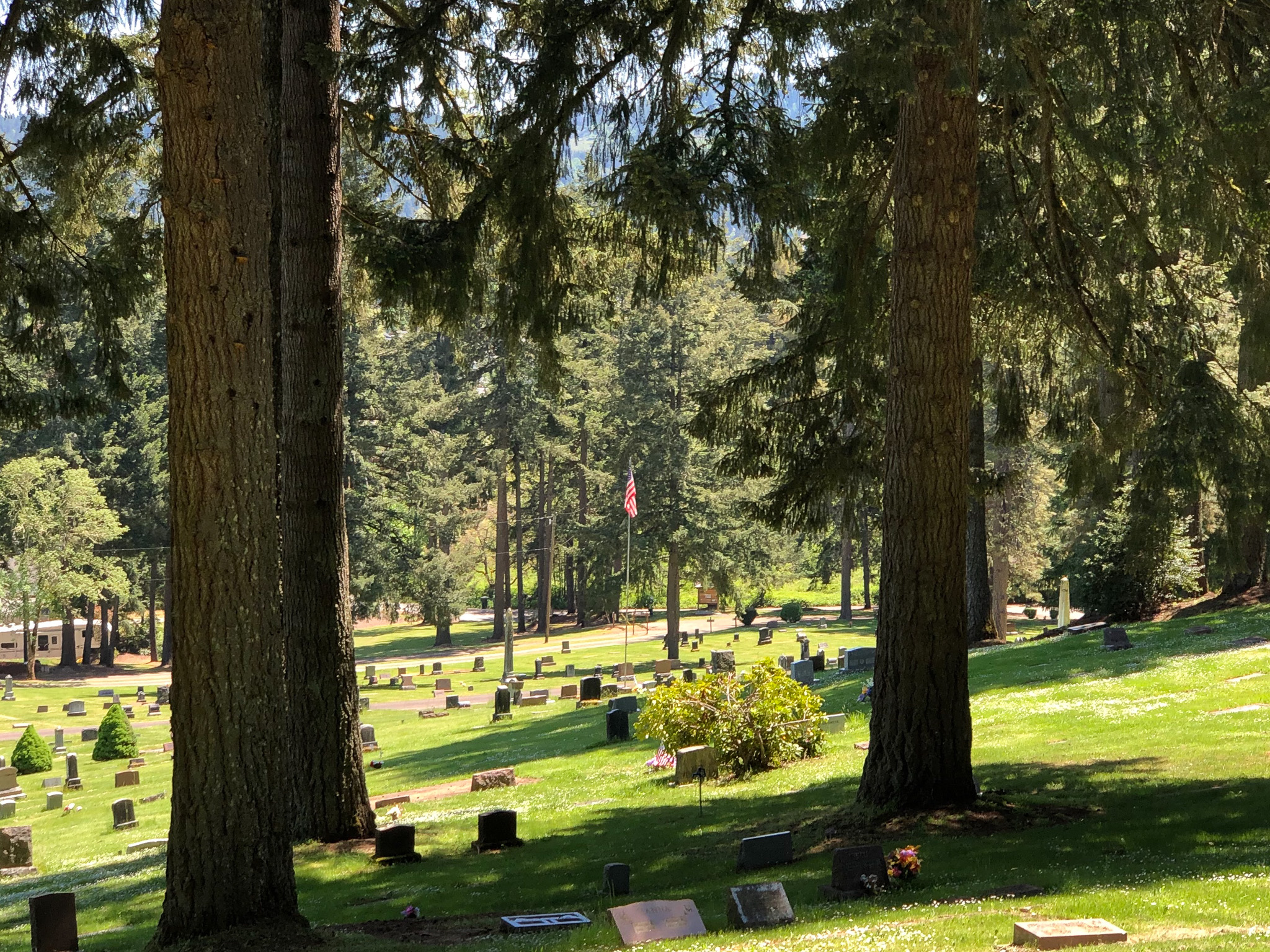 150 Years of History Fir Grove Cemetery